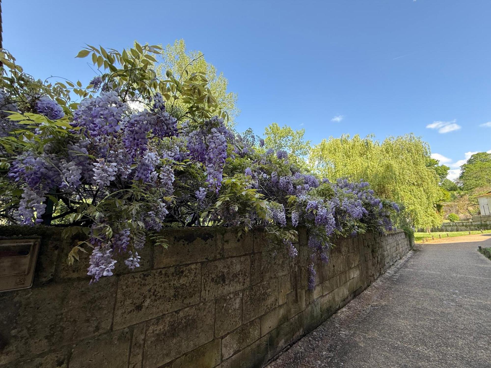 "L'Annexe" Villa Dournazac ภายนอก รูปภาพ